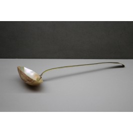 mother-of-pearl vase spoon with metal handle