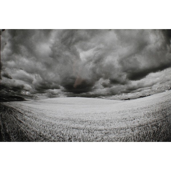 Suwałki landscapes, from the series "Landscapes with a foreground"
