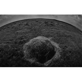 Kopka siana, z cyklu "Krajobrazy z przednim planem"