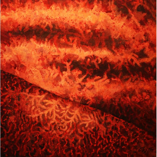 Draperia czerwona Draperia czerwona