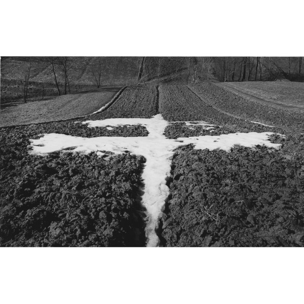 Ptak - przedwiośnie ed. 3/10